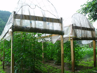 DSCF0336.JPG