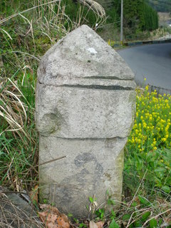 DSCF8770.JPG